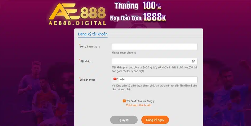 Các nội dung chính cần được đề cập trong hướng dẫn